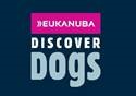 Eukanuba Discover Dogs (October) 2017